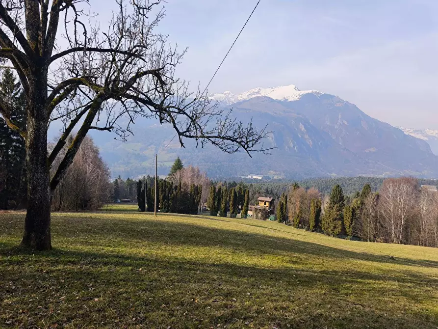 Immagine 23 di Casa indipendente in vendita  in via Vago sn a Ardesio