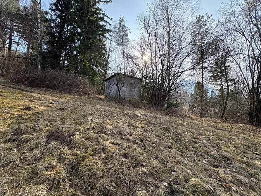 Immagine 20 di Casa indipendente in vendita  in via Vago sn a Ardesio