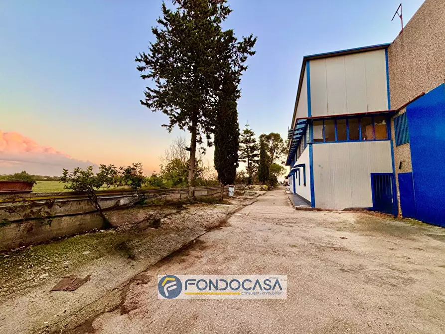 Immagine 7 di Capannone industriale in vendita  in via scarano s n c a Capua