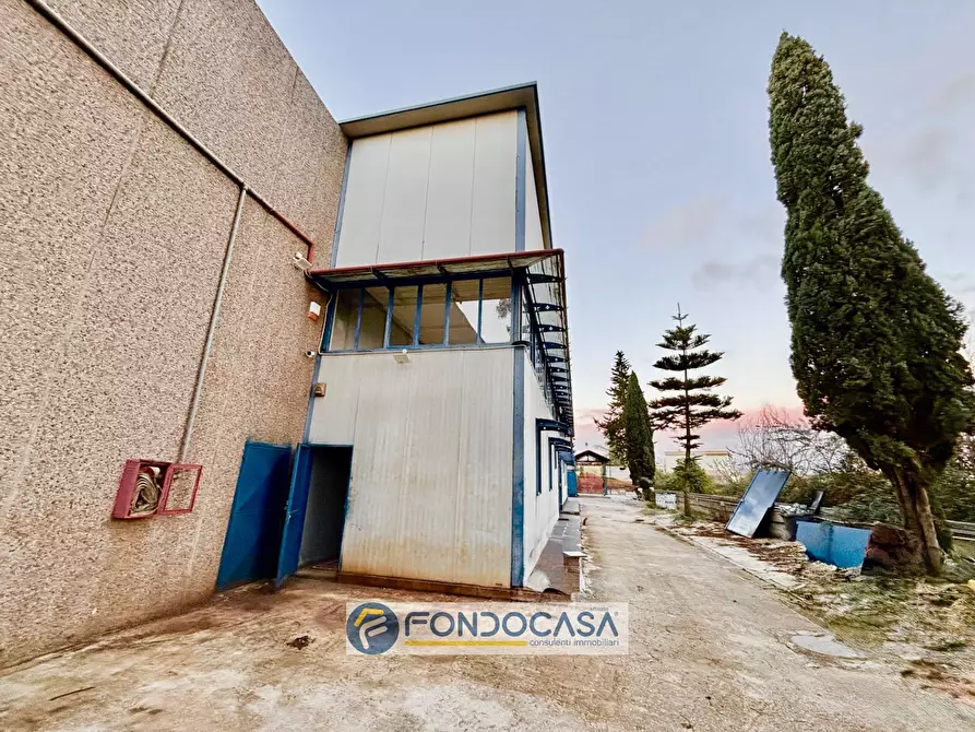Immagine 12 di Capannone industriale in vendita  in via scarano s n c a Capua