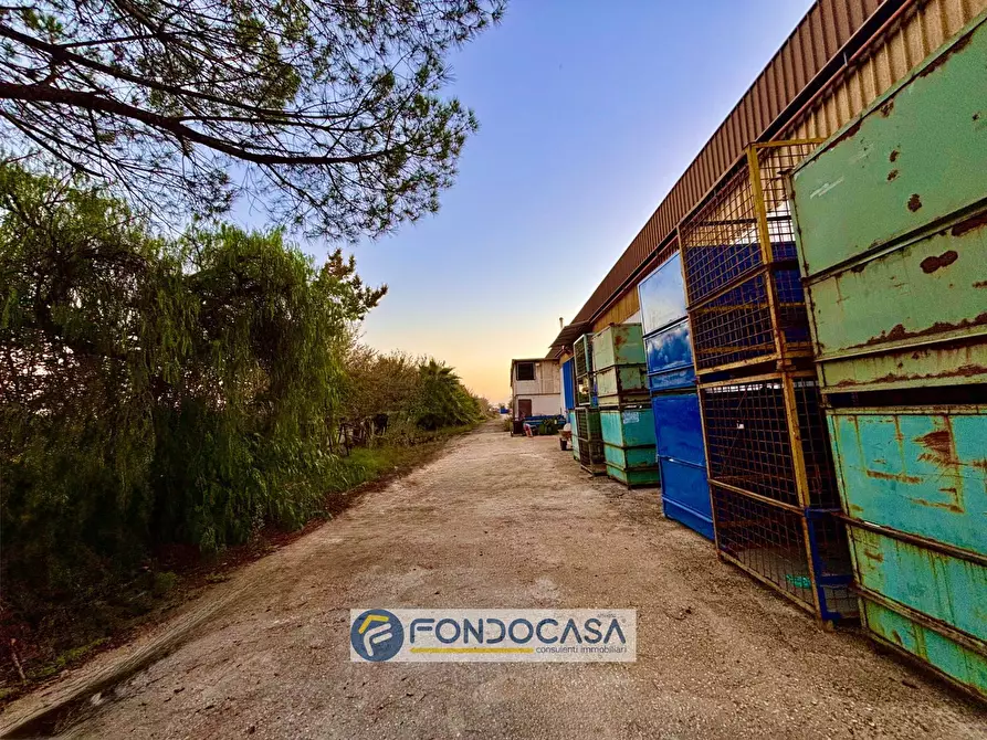 Immagine 13 di Capannone industriale in vendita  in via scarano s n c a Capua