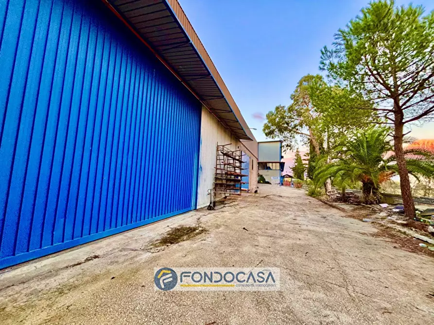 Immagine 14 di Capannone industriale in vendita  in via scarano s n c a Capua