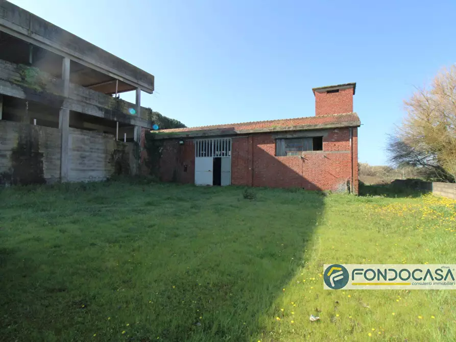 Immagine 3 di Capannone industriale in vendita  in Via delle colline a Ponsacco