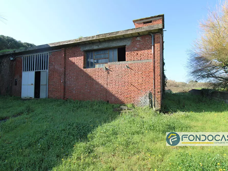 Immagine 5 di Capannone industriale in vendita  in Via delle colline a Ponsacco