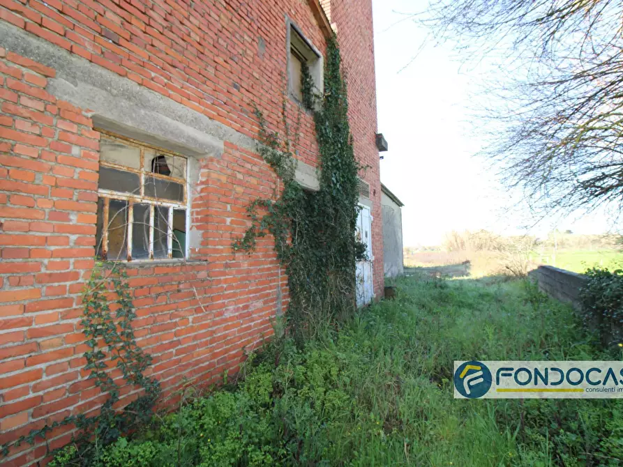 Immagine 6 di Capannone industriale in vendita  in Via delle colline a Ponsacco