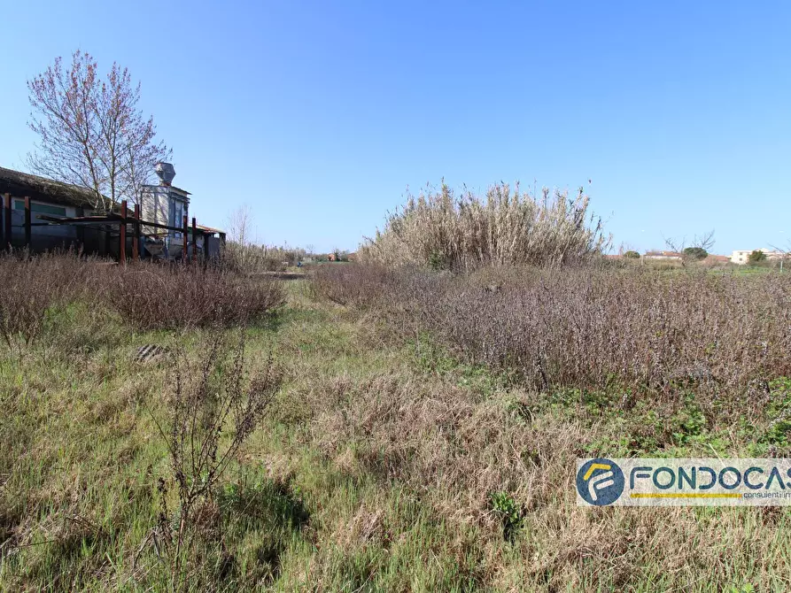 Immagine 7 di Capannone industriale in vendita  in Via delle colline a Ponsacco