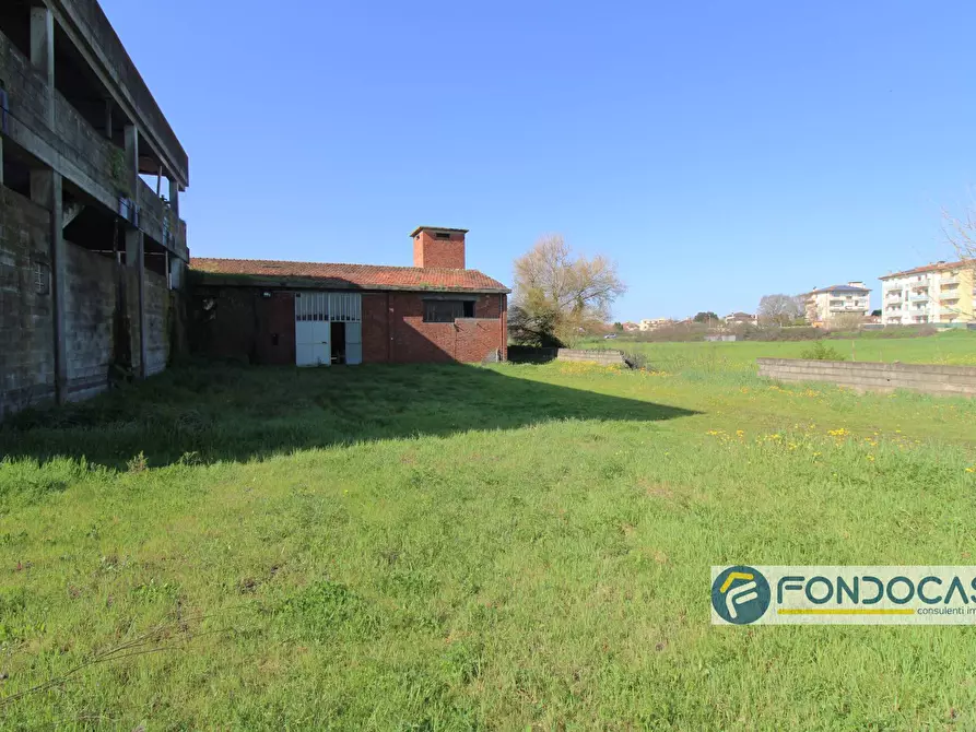 Immagine 2 di Capannone industriale in vendita  in Via delle colline a Ponsacco