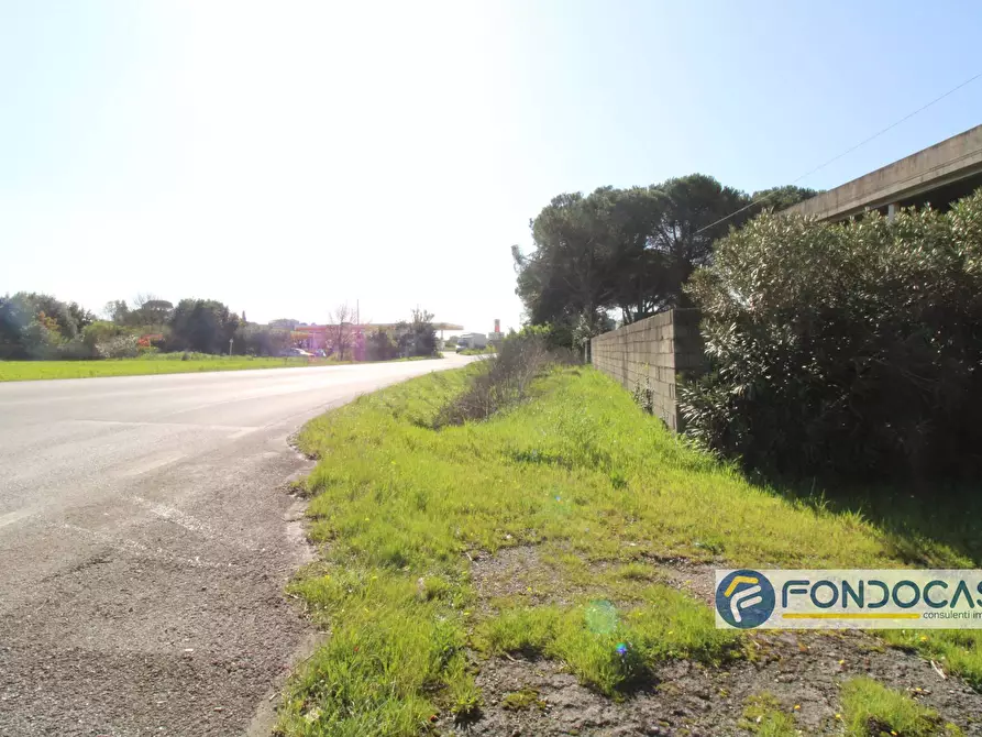 Immagine 24 di Capannone industriale in vendita  in Via delle colline a Ponsacco