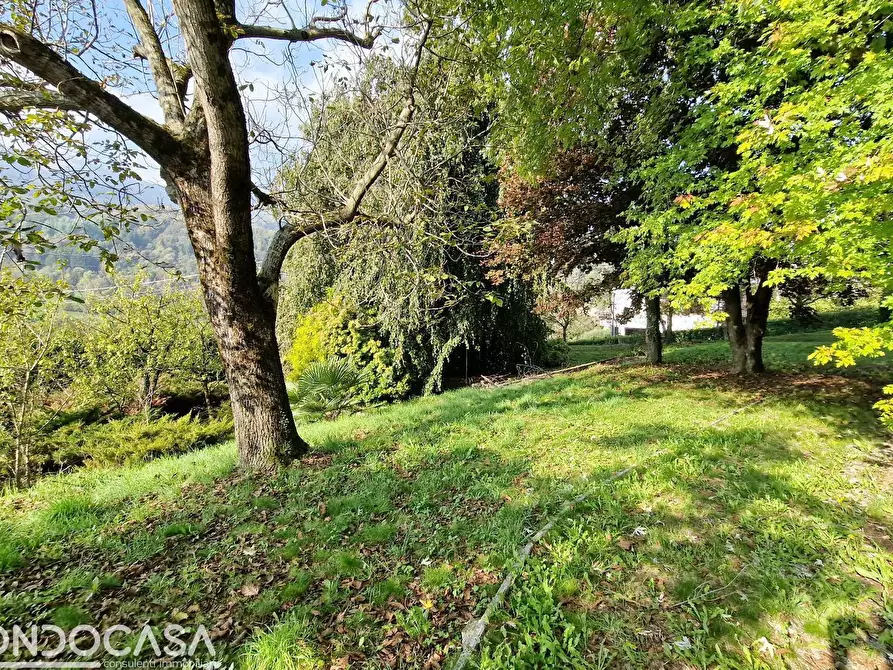 Immagine 8 di Casa indipendente in vendita  in via alle borghe a Centro Valle Intelvi