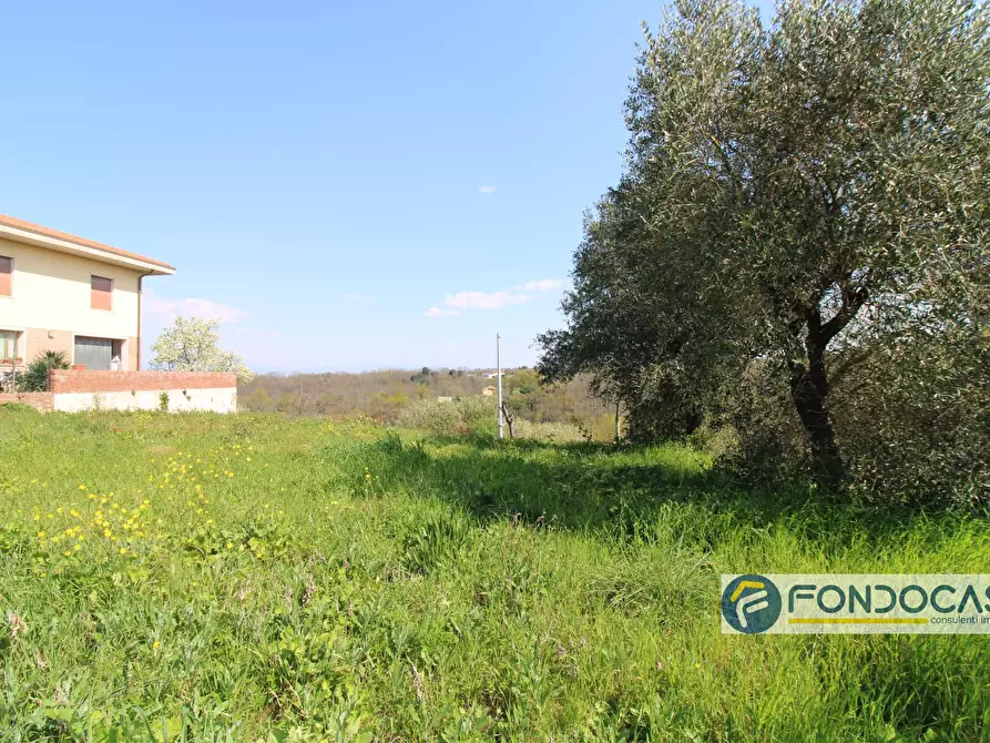 Immagine 3 di Casa indipendente in vendita  in Via Del Bruno a Montopoli In Val D'arno