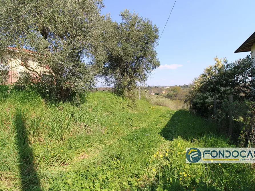 Immagine 6 di Casa indipendente in vendita  in Via Del Bruno a Montopoli In Val D'arno