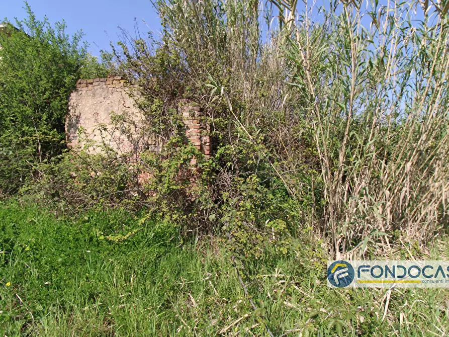 Immagine 13 di Casa indipendente in vendita  in Via Del Bruno a Montopoli In Val D'arno