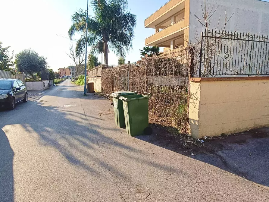 Immagine 2 di Cantina in affitto  a Camposano