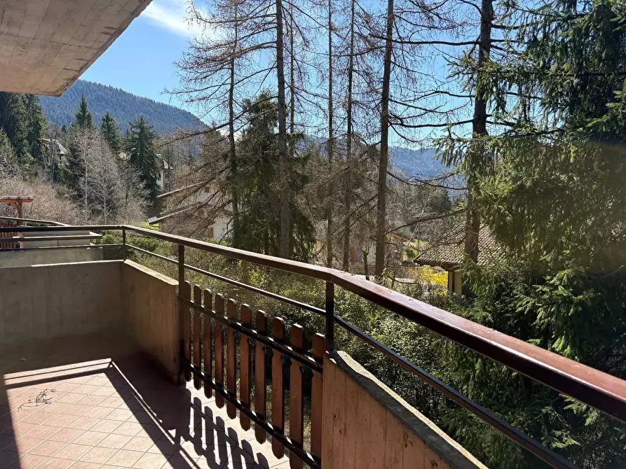 Immagine 16 di Appartamento in vendita  in Via Costa Salaer 71 a Ardesio