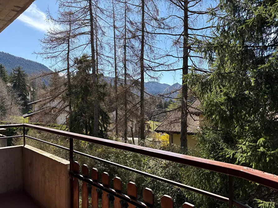 Immagine 17 di Appartamento in vendita  in Via Costa Salaer 71 a Ardesio