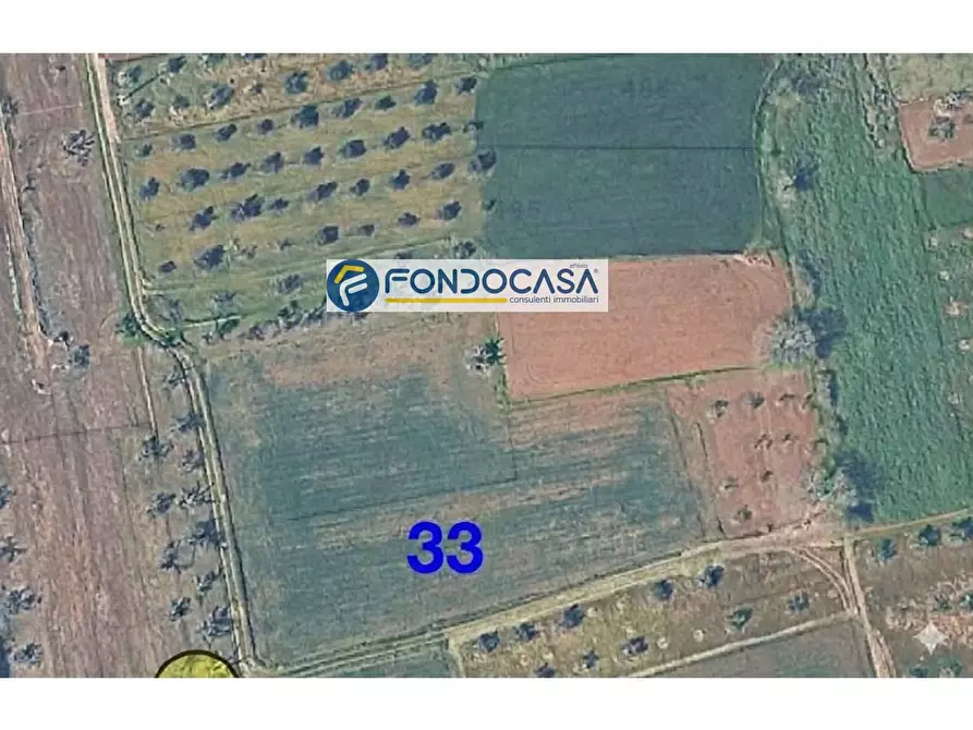 Immagine 3 di Locale commerciale in vendita  in strada vicinale mimmo snc a Matino