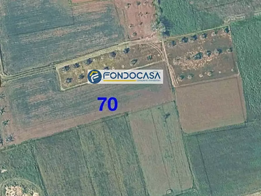 Immagine 4 di Locale commerciale in vendita  in strada vicinale mimmo snc a Matino