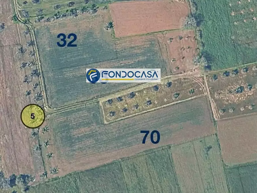 Immagine 1 di Locale commerciale in vendita  in strada vicinale mimmo snc a Matino