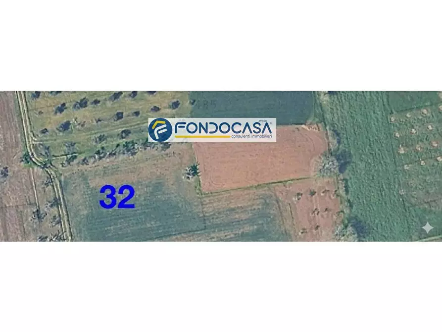 Immagine 2 di Locale commerciale in vendita  in strada vicinale mimmo snc a Matino