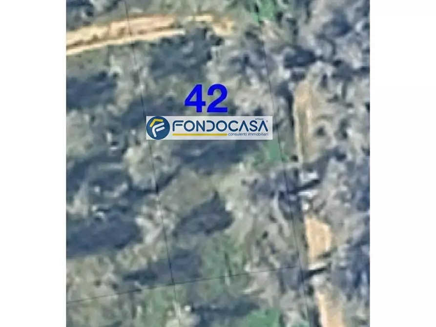 Immagine 6 di Locale commerciale in vendita  in strada vicinale stracca snc a Acquarica Del Capo