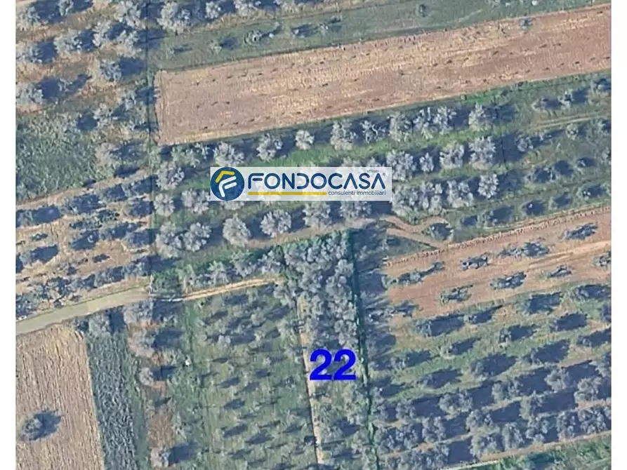 Immagine 2 di Locale commerciale in vendita  in strada vicinale stracca snc a Acquarica Del Capo