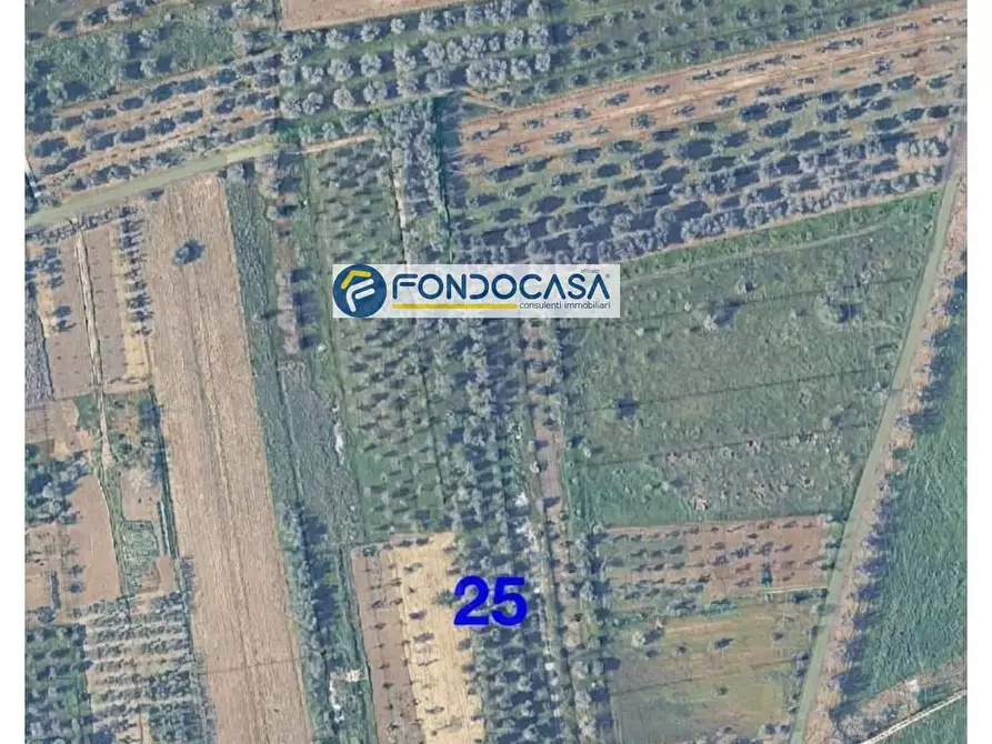 Immagine 3 di Locale commerciale in vendita  in strada vicinale stracca snc a Acquarica Del Capo