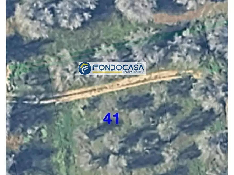 Immagine 5 di Locale commerciale in vendita  in strada vicinale stracca snc a Acquarica Del Capo