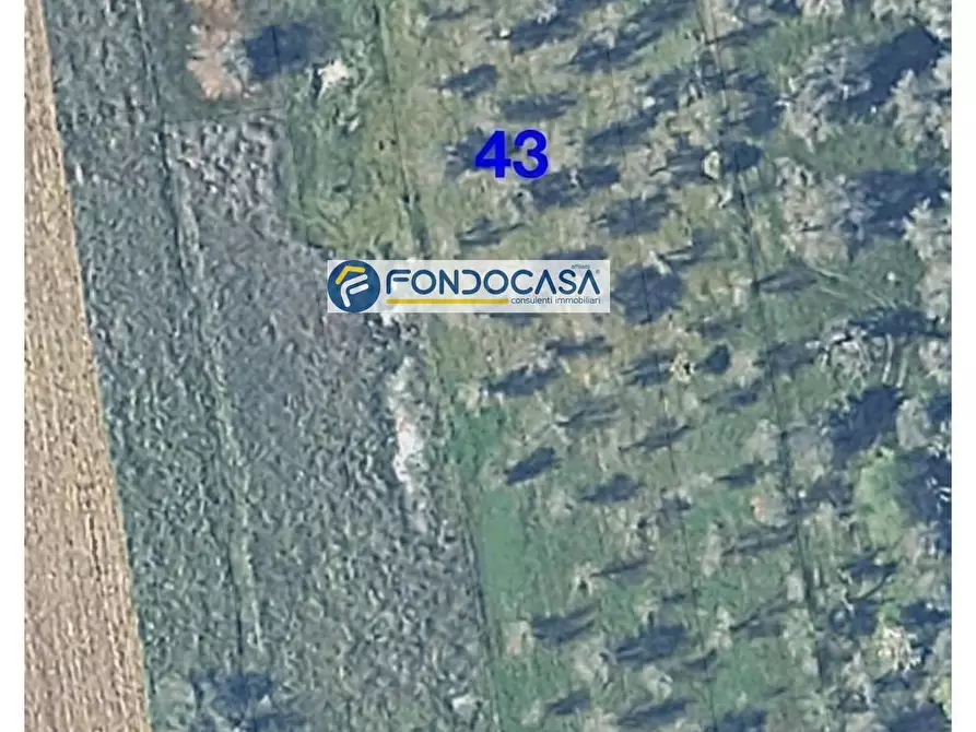 Immagine 7 di Locale commerciale in vendita  in strada vicinale stracca snc a Acquarica Del Capo