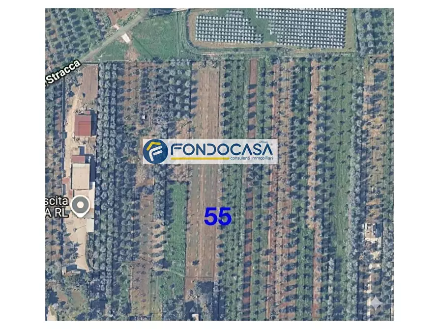 Immagine 1 di Locale commerciale in vendita  in strada vicinale stracca snc a Acquarica Del Capo