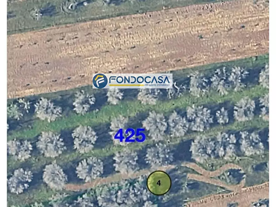 Immagine 10 di Locale commerciale in vendita  in strada vicinale stracca snc a Acquarica Del Capo