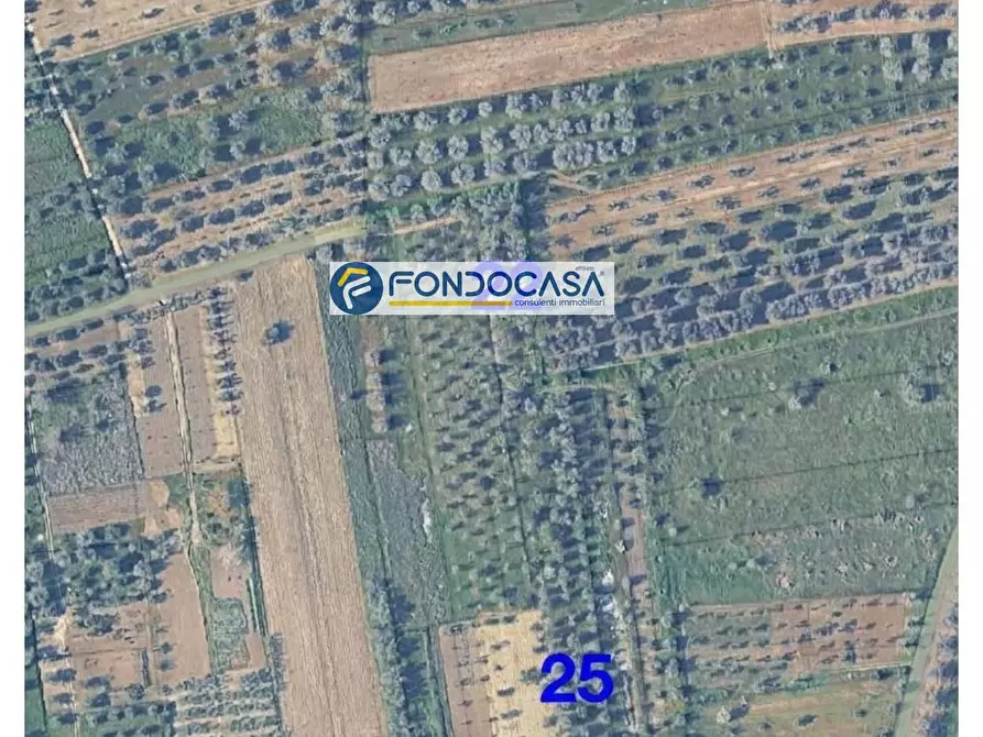 Immagine 4 di Locale commerciale in vendita  in strada vicinale stracca snc a Acquarica Del Capo