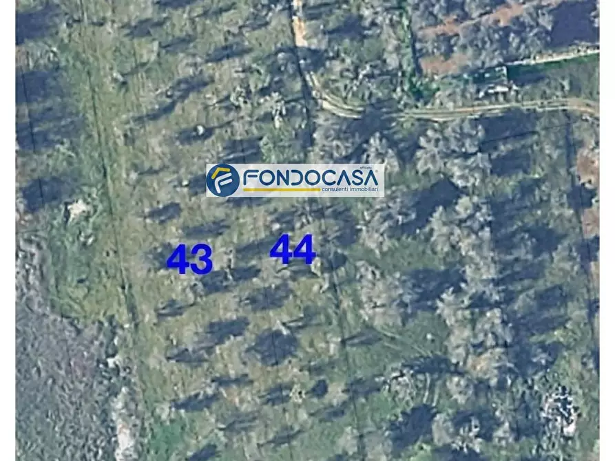 Immagine 9 di Locale commerciale in vendita  in strada vicinale stracca snc a Acquarica Del Capo