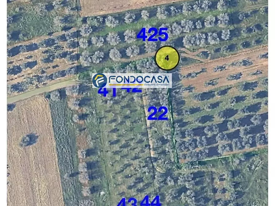 Immagine 11 di Locale commerciale in vendita  in strada vicinale stracca snc a Acquarica Del Capo