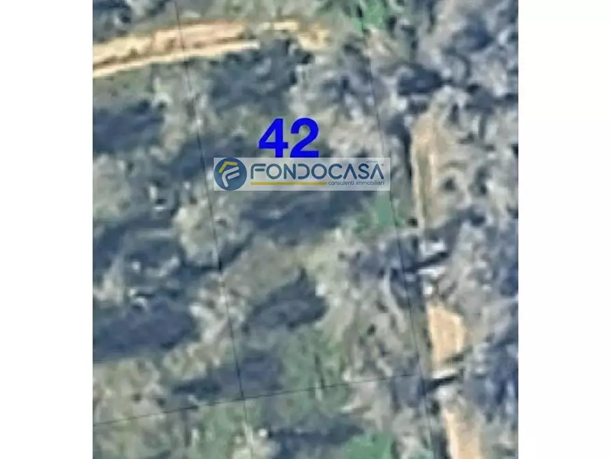 Immagine 5 di Locale commerciale in vendita  in strada vicinale stracca snc a Acquarica Del Capo