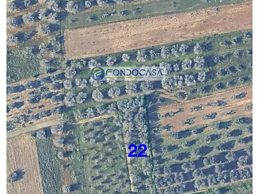 Immagine 2 di Locale commerciale in vendita  in strada vicinale stracca snc a Acquarica Del Capo