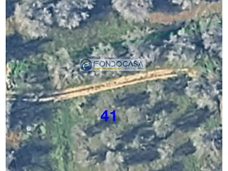 Immagine 4 di Locale commerciale in vendita  in strada vicinale stracca snc a Acquarica Del Capo