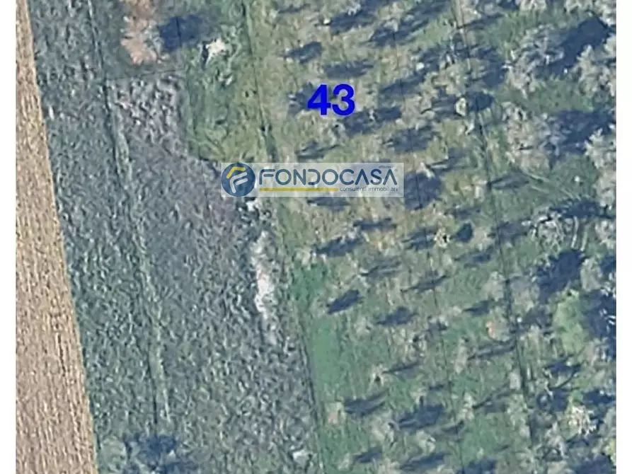 Immagine 6 di Locale commerciale in vendita  in strada vicinale stracca snc a Acquarica Del Capo