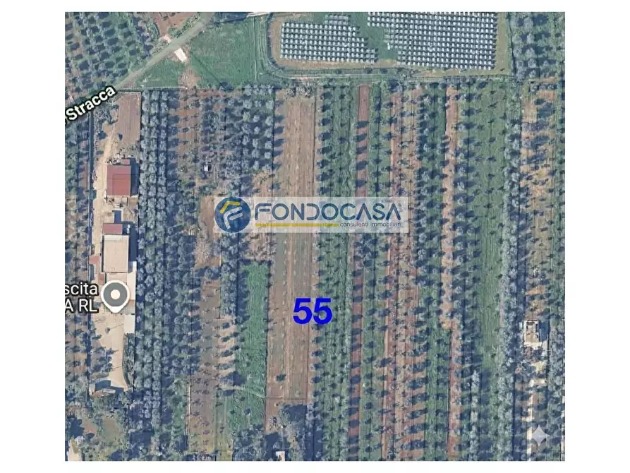 Immagine 1 di Locale commerciale in vendita  in strada vicinale stracca snc a Acquarica Del Capo