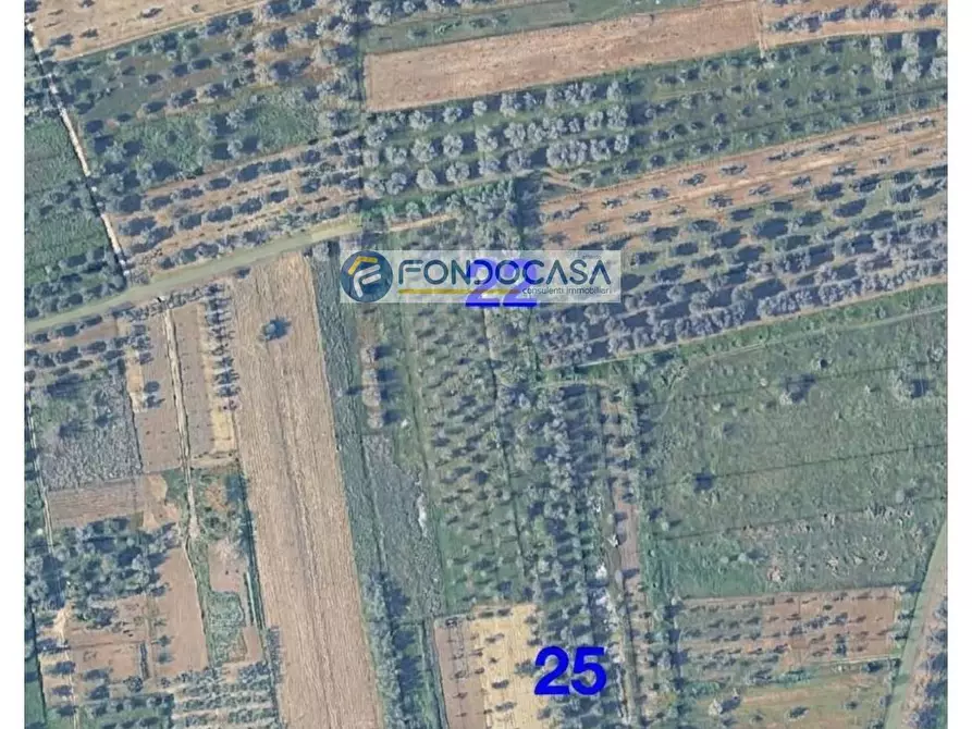 Immagine 9 di Locale commerciale in vendita  in strada vicinale stracca snc a Acquarica Del Capo