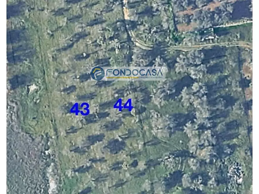 Immagine 10 di Locale commerciale in vendita  in strada vicinale stracca snc a Acquarica Del Capo