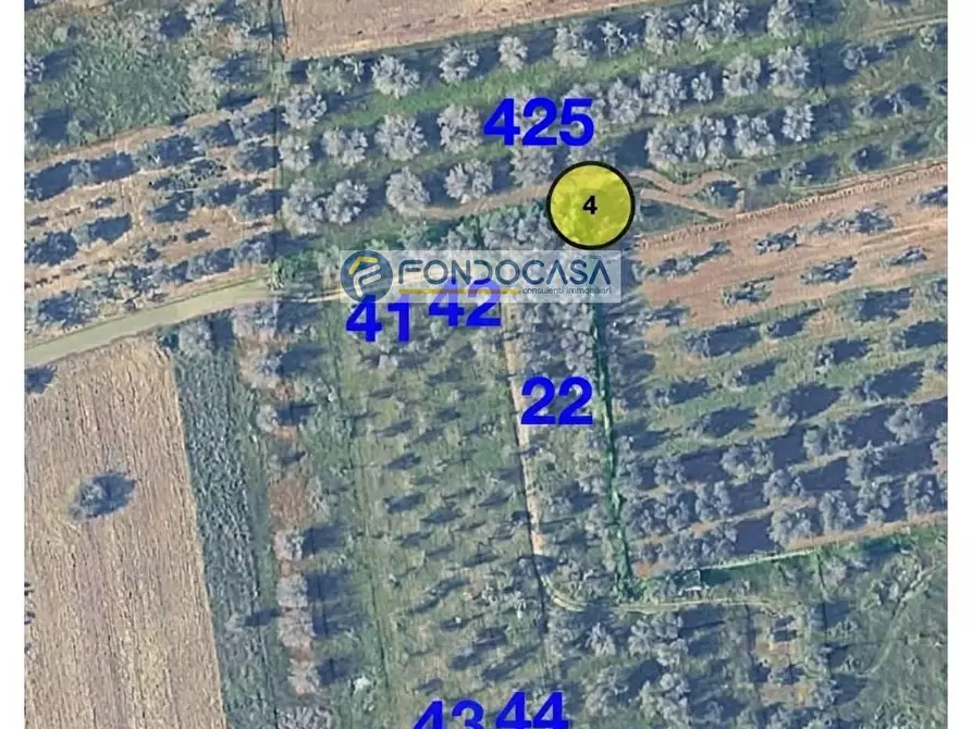 Immagine 11 di Locale commerciale in vendita  in strada vicinale stracca snc a Acquarica Del Capo