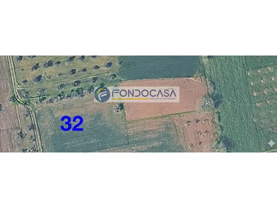 Immagine 2 di Locale commerciale in vendita  in strada vicinale mimmo snc a Matino