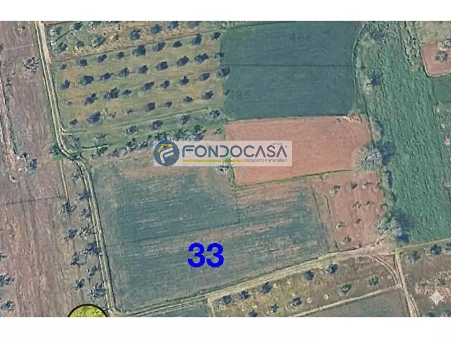 Immagine 3 di Locale commerciale in vendita  in strada vicinale mimmo snc a Matino