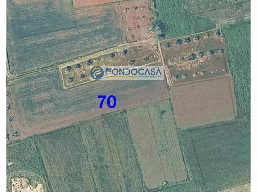 Immagine 1 di Locale commerciale in vendita  in strada vicinale mimmo snc a Matino