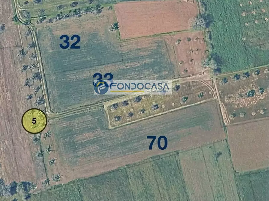 Immagine 4 di Locale commerciale in vendita  in strada vicinale mimmo snc a Matino