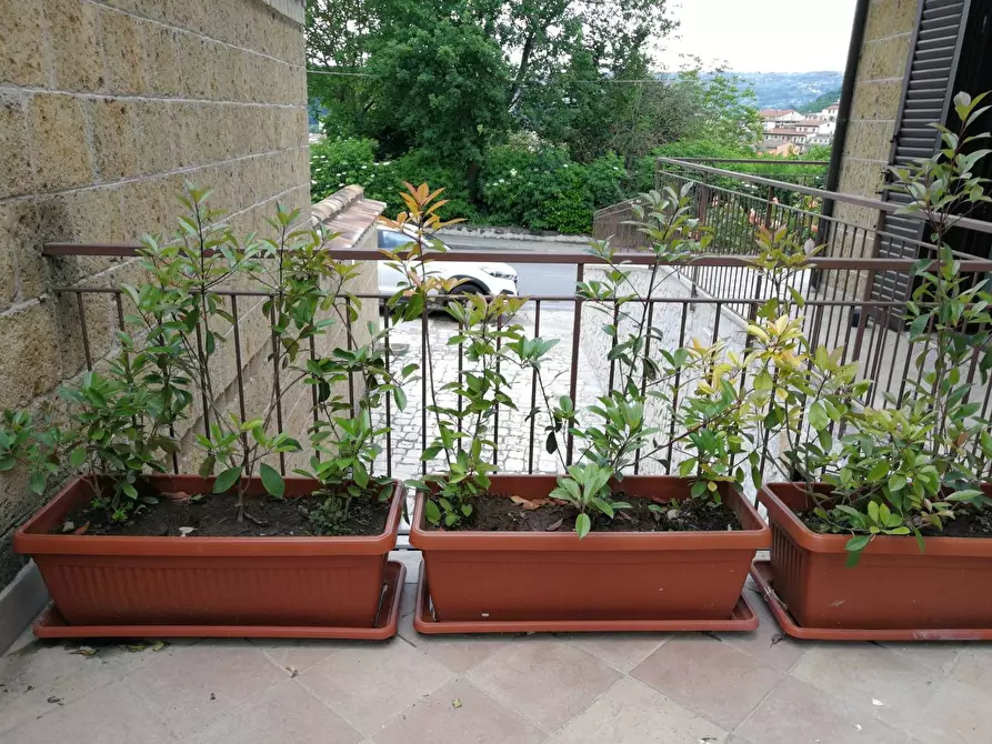 Immagine 4 di Casa semindipendente in vendita  in Via  Provinciale 15 a Pratola Serra