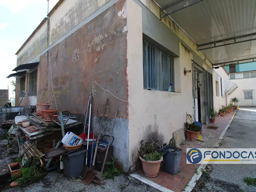 Immagine 18 di Magazzino in vendita  in Via Francesca a Montopoli In Val D'arno