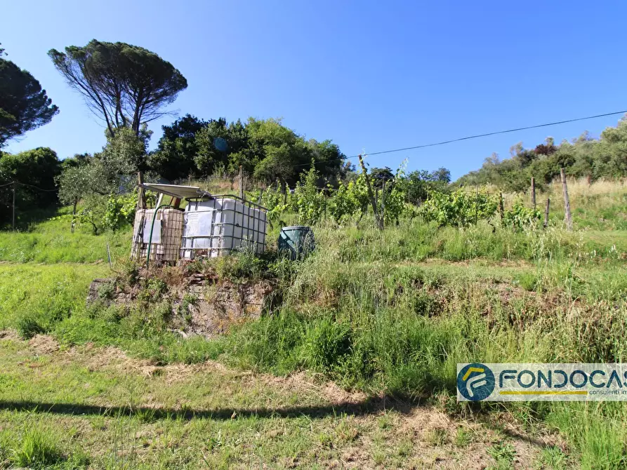 Immagine 49 di Casa indipendente in vendita  in Via Val Di Badia a Buti