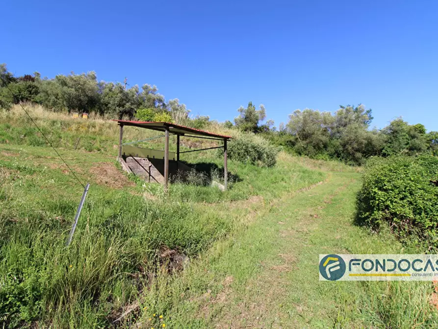 Immagine 50 di Casa indipendente in vendita  in Via Val Di Badia a Buti