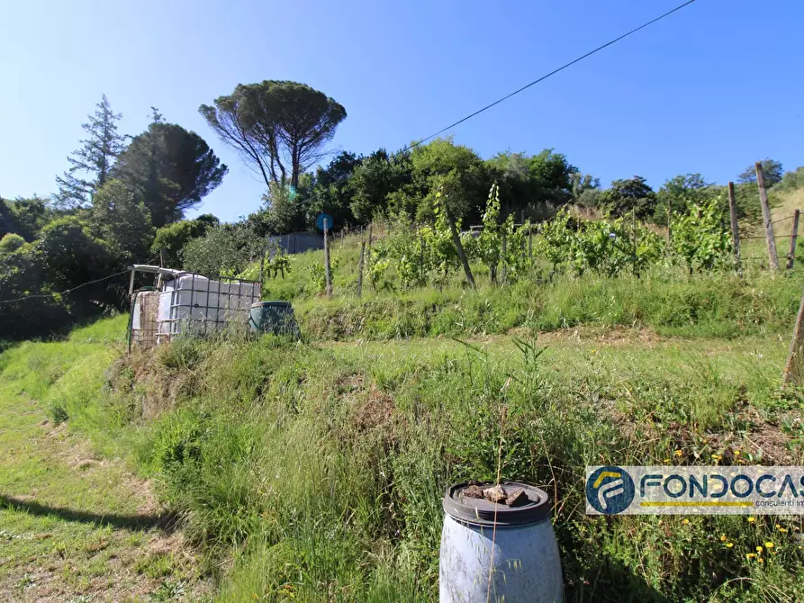 Immagine 51 di Casa indipendente in vendita  in Via Val Di Badia a Buti